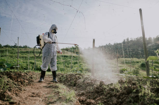 Best Pest Prevention Services  in Nambe, NM