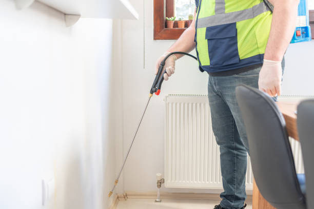 Best Cockroach Control Services  in Nambe, NM