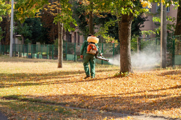 Flea Control Services in Nambe, NM