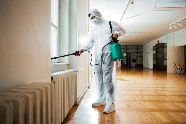 Best Best Pest Control Companies  in Nambe, NM