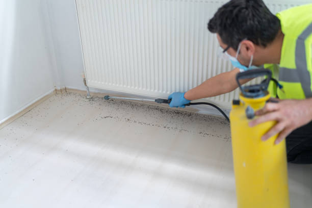 Best Bed Bug Extermination  in Nambe, NM